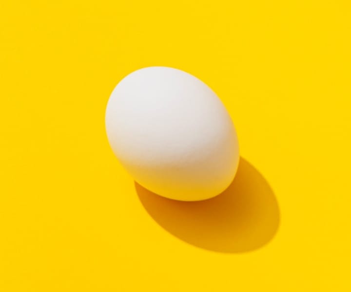 eggWshadow